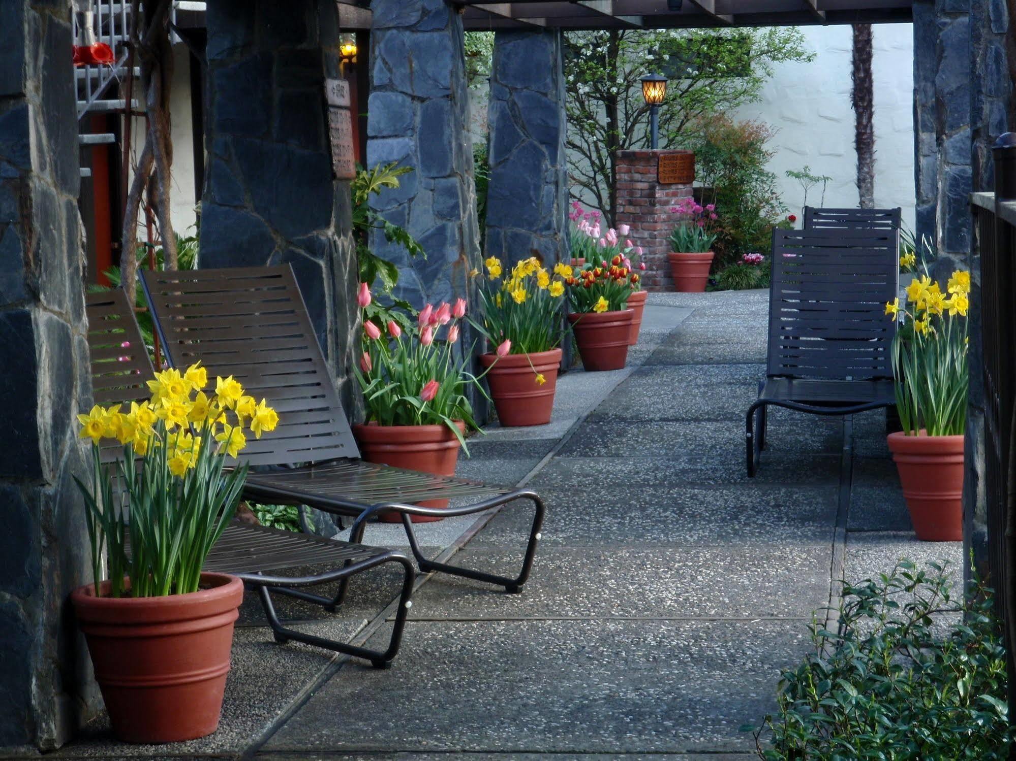 Roman Spa Resort Calistoga Exterior foto